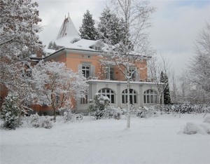 Villa-Snow-klein