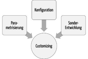 Das Customizing umfasst die Parametrisierung, die Konfiguration und die Erweiterung durch Spezialentwicklungen. (zum Vergrößern klicken)