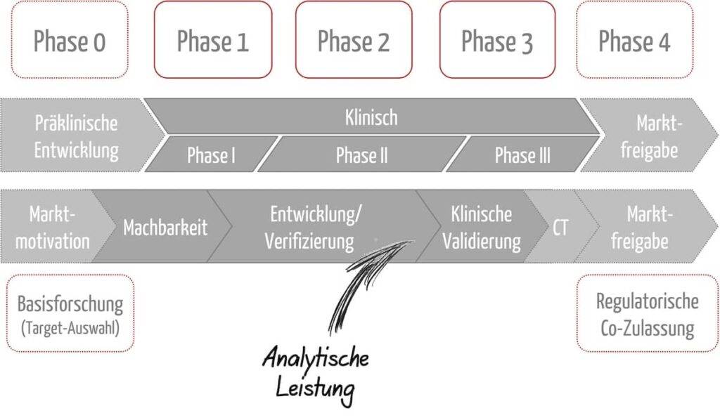 Phasen der Co-Entwicklung von CDx und Arzneimittel